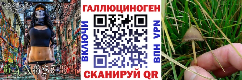 что такое   гидра   Галлюциногенные грибы Magic Shrooms  Байкальск 